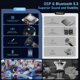 Bluetooth Speaker, Home Singing Portable Party Speaker with 2 Microphones, Dual 6.5'' Subwoofer Deep Bass, Rgb Lights, T27-T