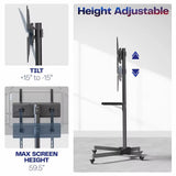 Mobile Tv Cart for 13 to 60 H Screens up to 55 Lbs, Lcd Led Oled 4K Smart Flat and Curved Panels, Rolling Stand with Laptop Dvd